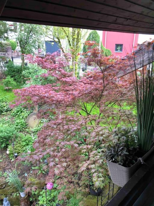 Willkommen Im Casa Felice, Der Wohlfuehl Oase Mit Balkon, 4 Betten Und Homeoffice Platz Aidlingen Eksteriør bilde